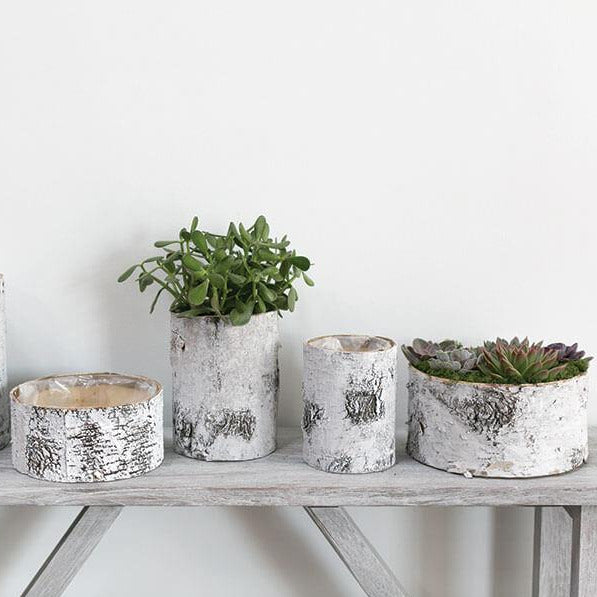 white birch bark bowl vase 10x4 7