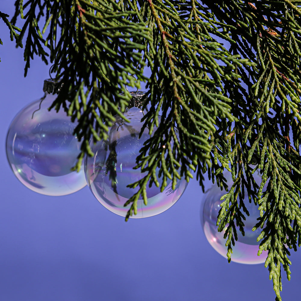 Richland Glass Ornaments 2.5” Set of 24