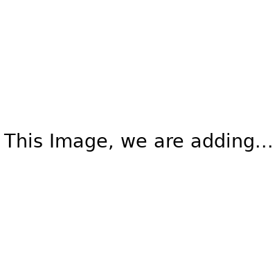 votive frosted holders set 12
